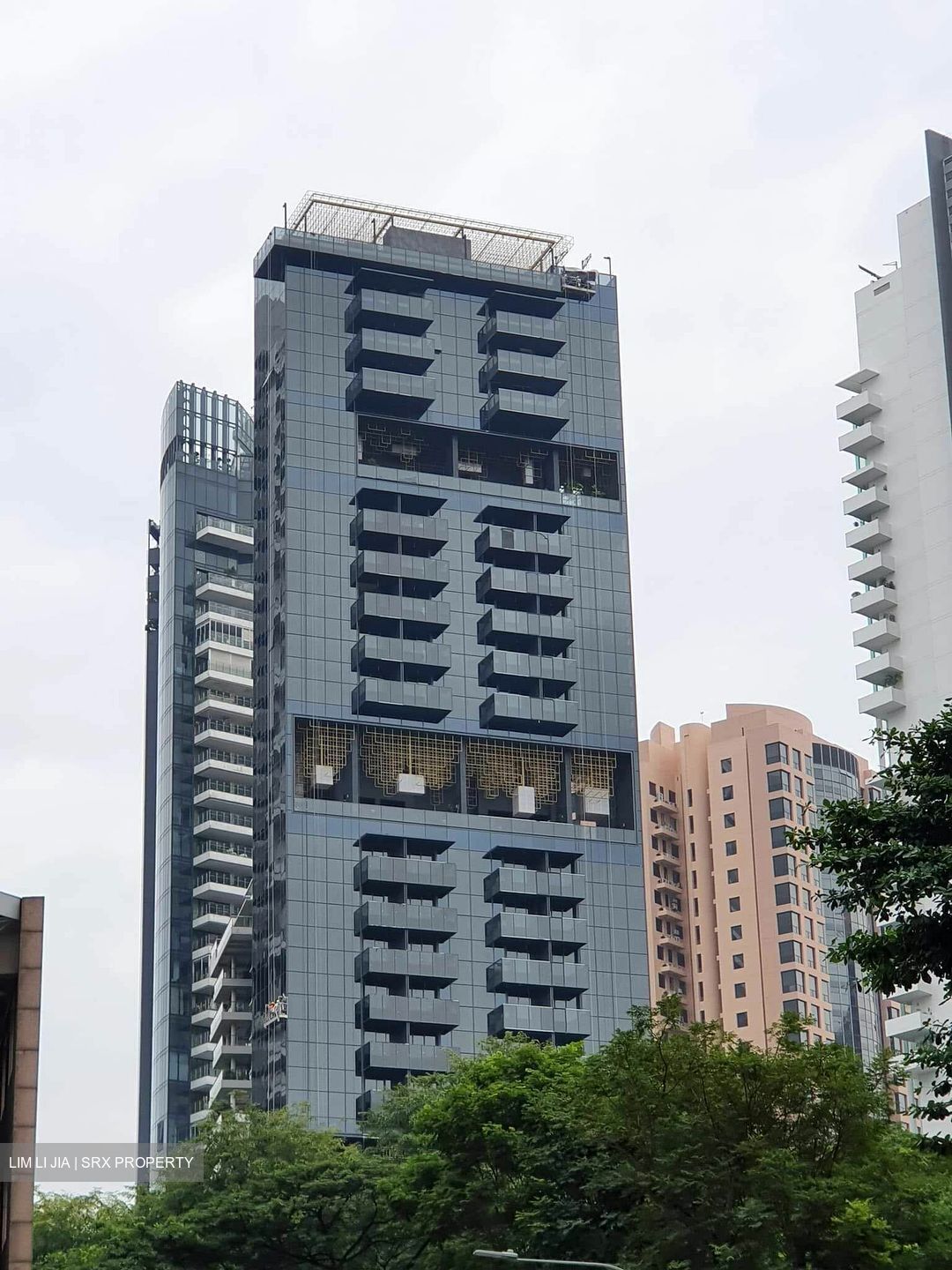 3 Cuscaden (D10), Apartment #372413651